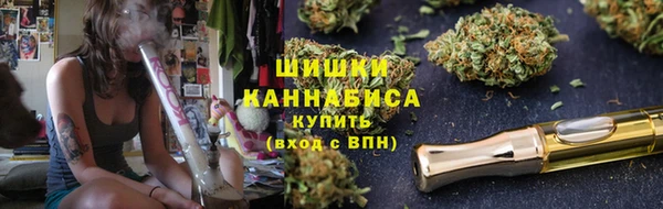 ПСИЛОЦИБИНОВЫЕ ГРИБЫ Наволоки