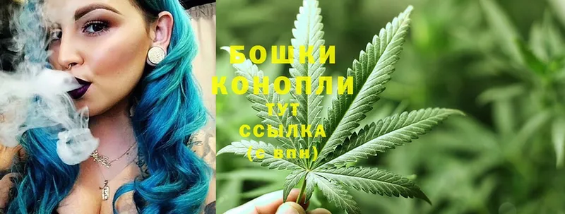 Бошки марихуана THC 21%  Нижний Ломов 